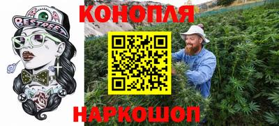 индика Пенза