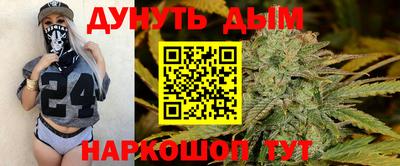 spice Обь