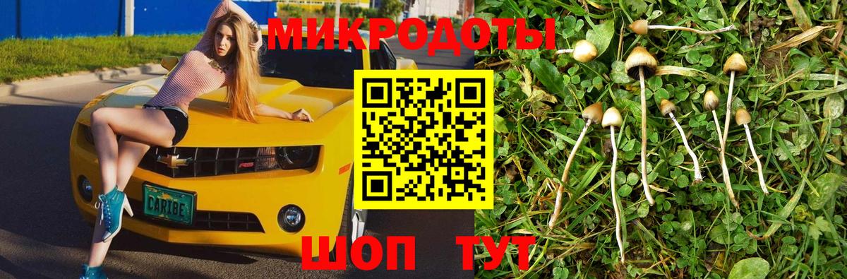 Псилоцибиновые грибы мицелий Тобольск