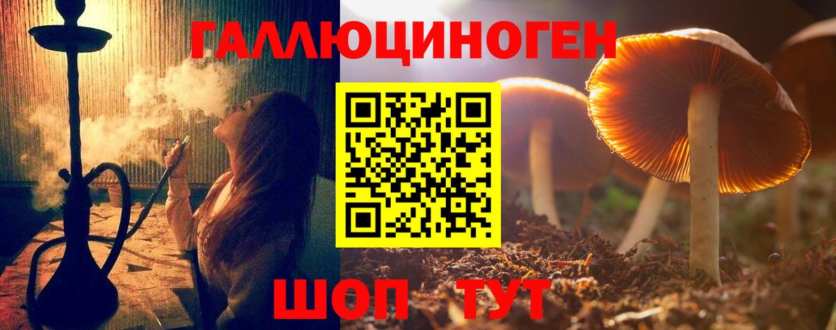 Псилоцибиновые грибы мицелий  Галлюциногенные грибы GOLDEN TEACHER  купить наркотики цена  Вход с VPN  Тобольск 